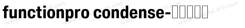 functionpro condense字体转换